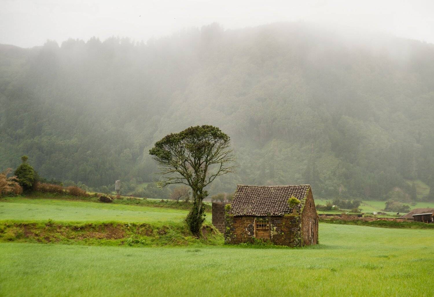 Португалия, Азоры, пейзаж, Матвеев Евгений