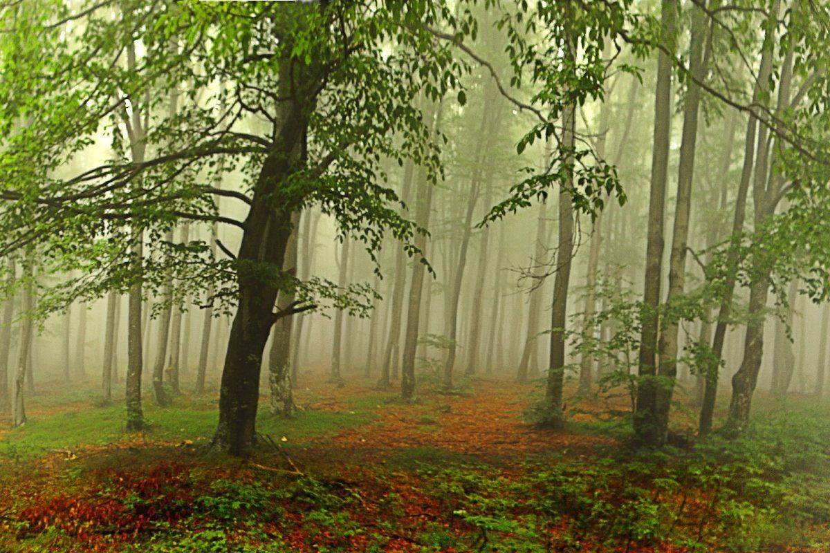 , Георги Славов