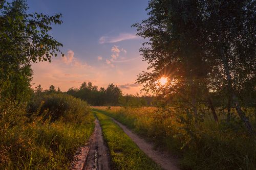 Июльская жара. Макушка лета.