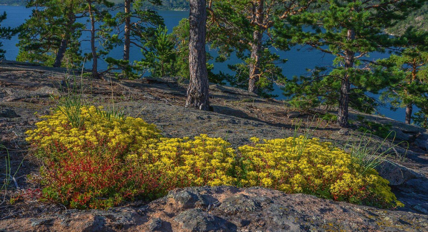 горы, Евгений Дроботенко