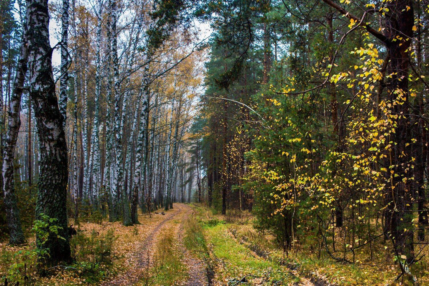 , Руслан Востриков