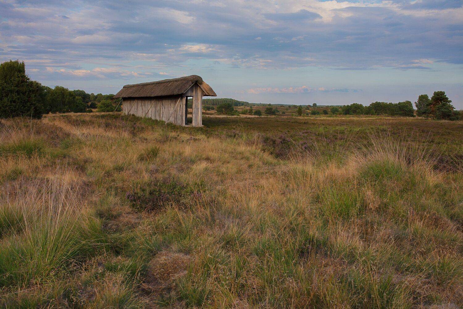 , Игорь Дубровский