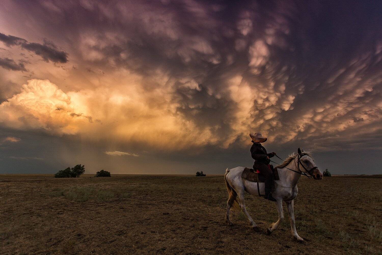 , Павел Сагайдак