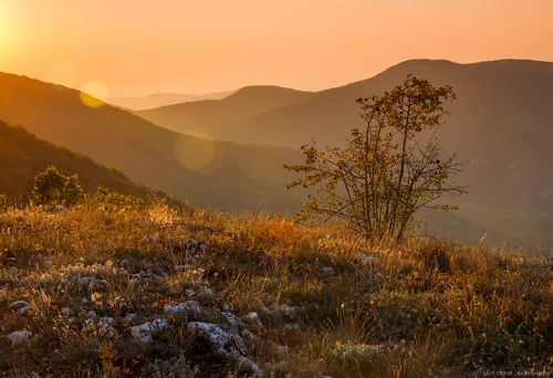 Золотистый вечер в крымских горах