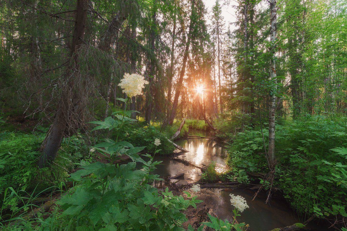 , Игорь Подобаев
