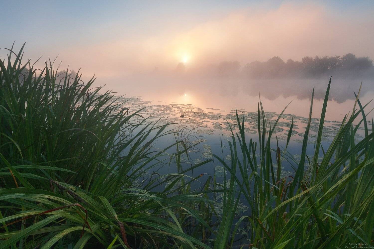 солнце, россия, рассвет, природа, подмосковье, погода, пейзажи, пейзаж, отражение, наукоград, красота, дубна, вода, весна, weather, water, spring, russia, reflection, naukograd, nature, moscow, landscape, dawn, canon dubna, beauty, Андрей Олонцев