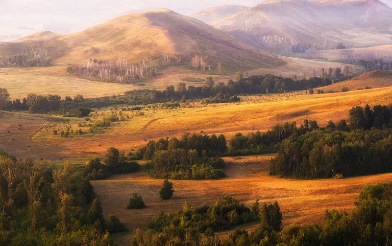 утро, горы, холмы, луга, деревья, высота, свет, смог, простор Картина воскресного утра фото превью