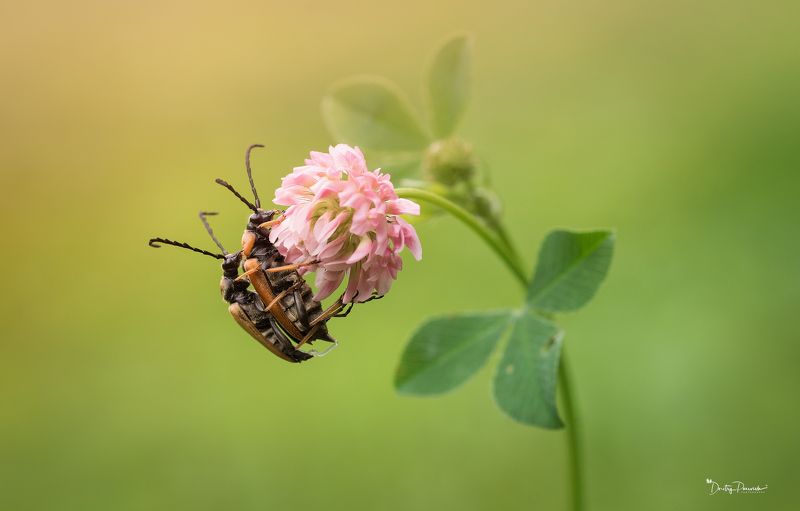 Будни :) фото превью