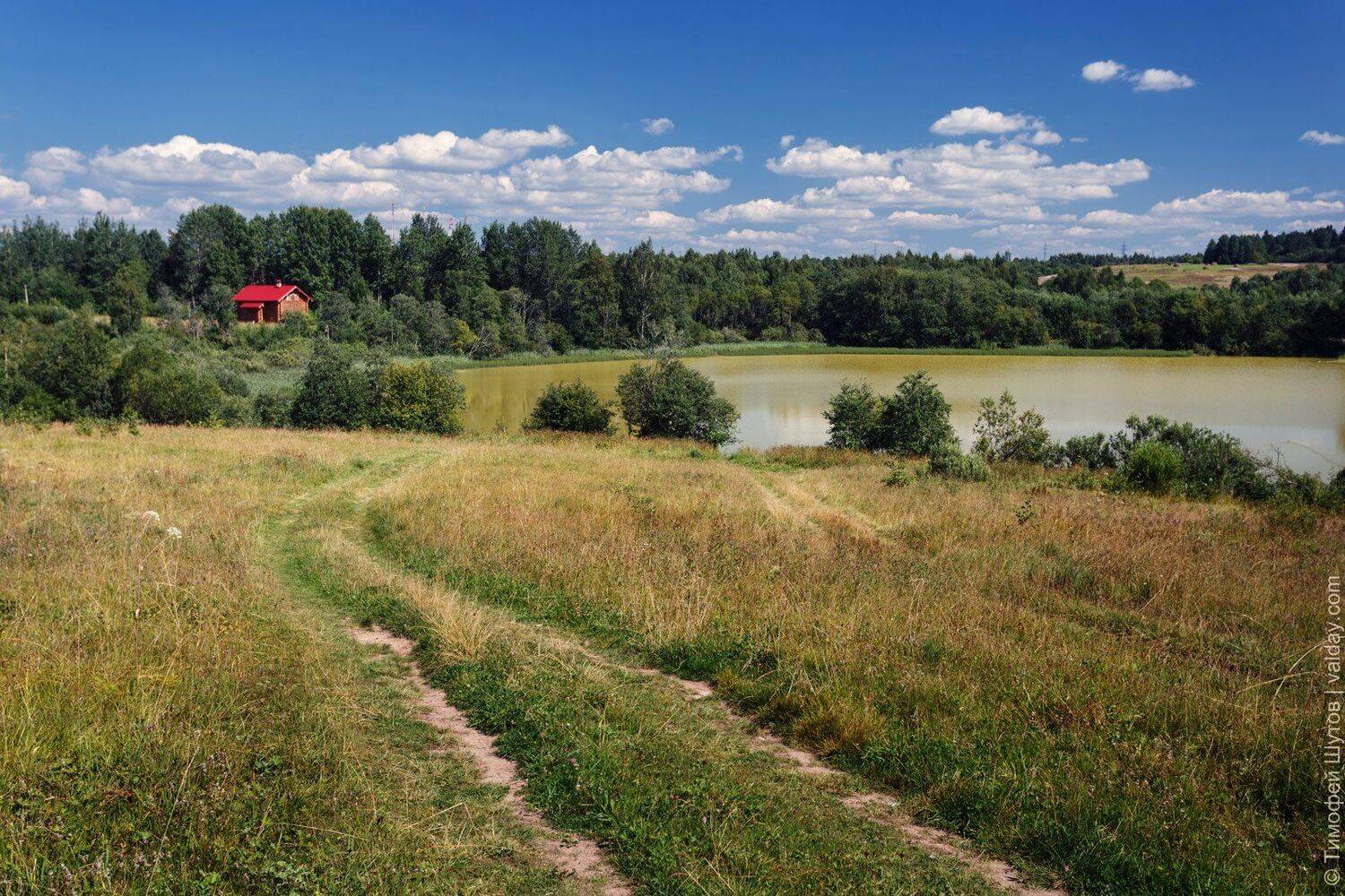 валдай, Тимофей Шутов