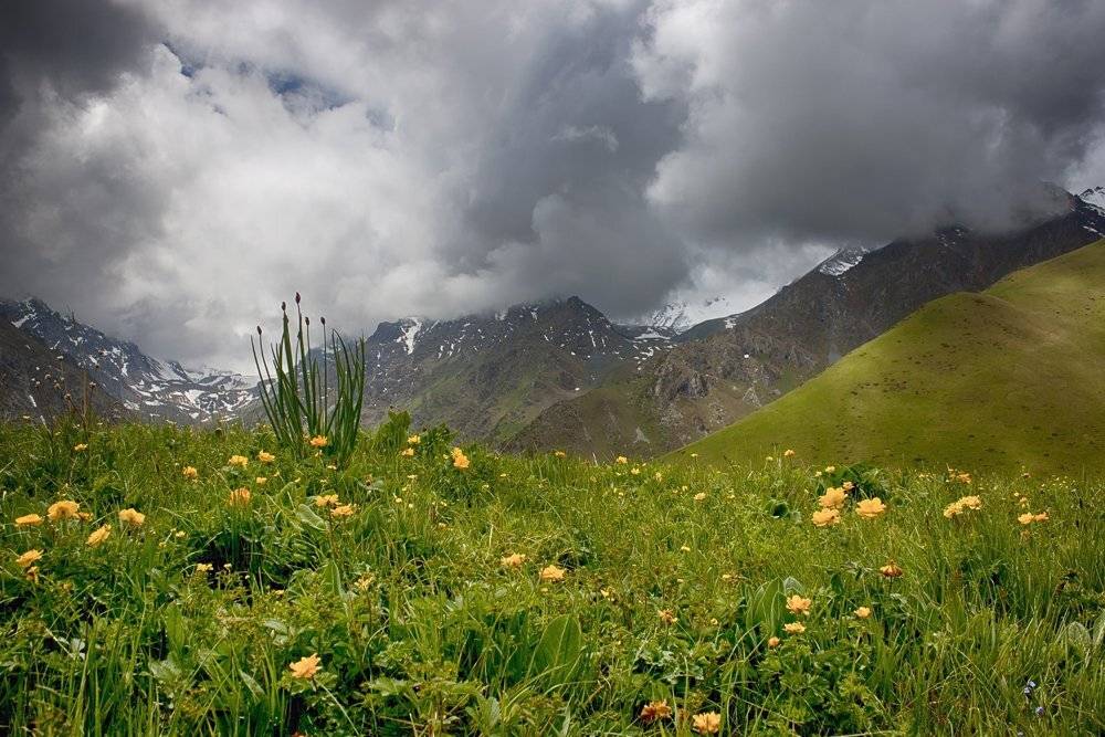горы, кыргызстан, Элина Магалимова