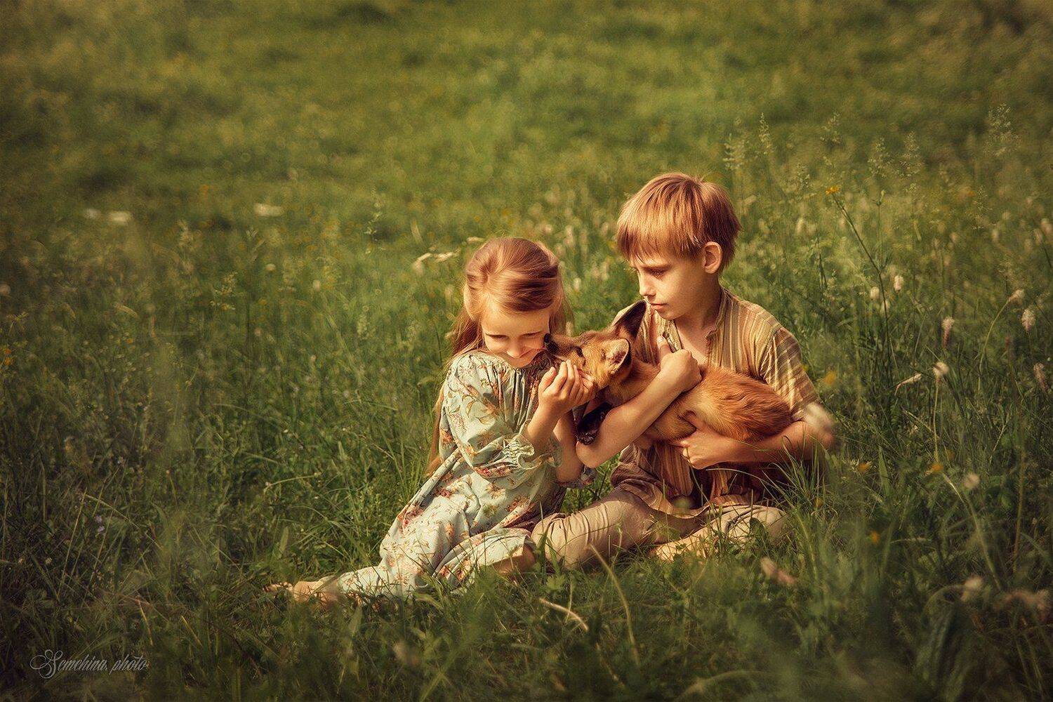 дети, лис, лиса, поле, лето, детское фото, портрет, children, child, fox, summer, field, green, Марина Семёхина