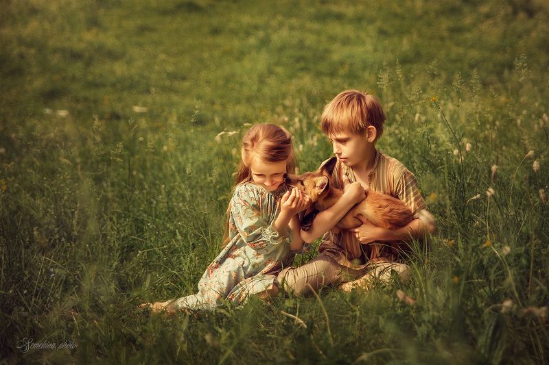 дети, лис, лиса, поле, лето, детское фото, портрет, children, child, fox, summer, field, green  фото превью
