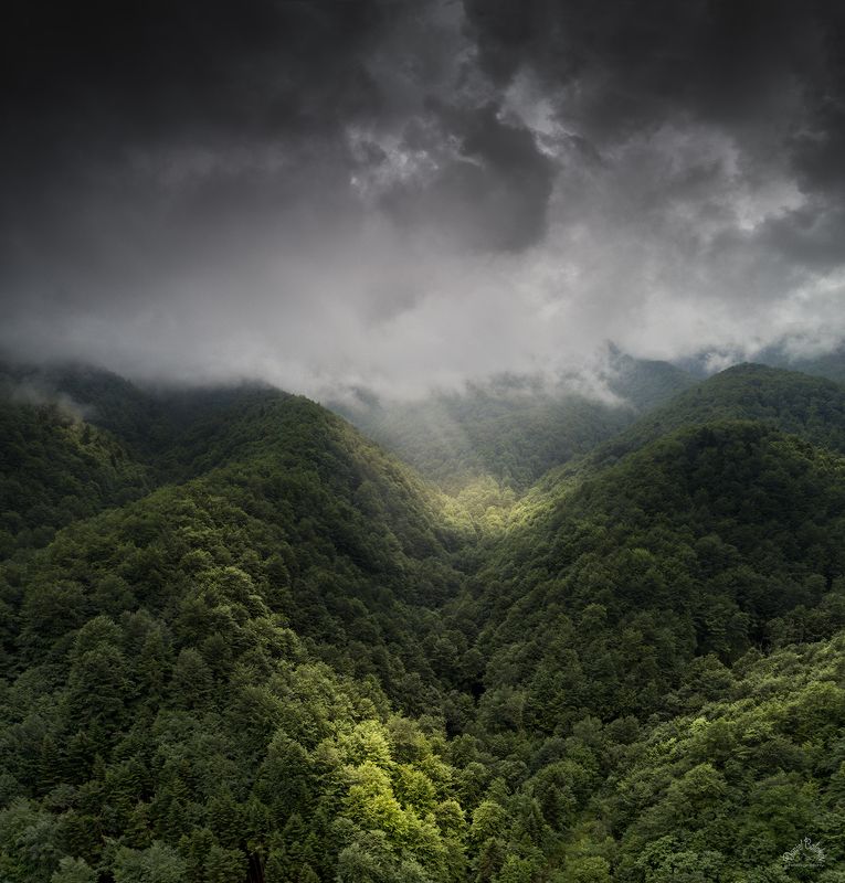 #rays #rainy #mountains #shadows #storm #trees #green Лучи через дождя.. фото превью
