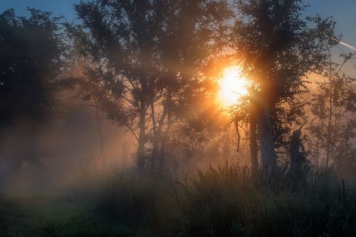 Солнечный взрыв