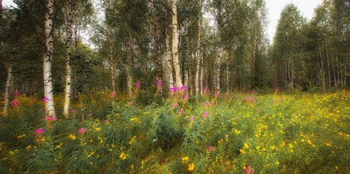 Вот и август