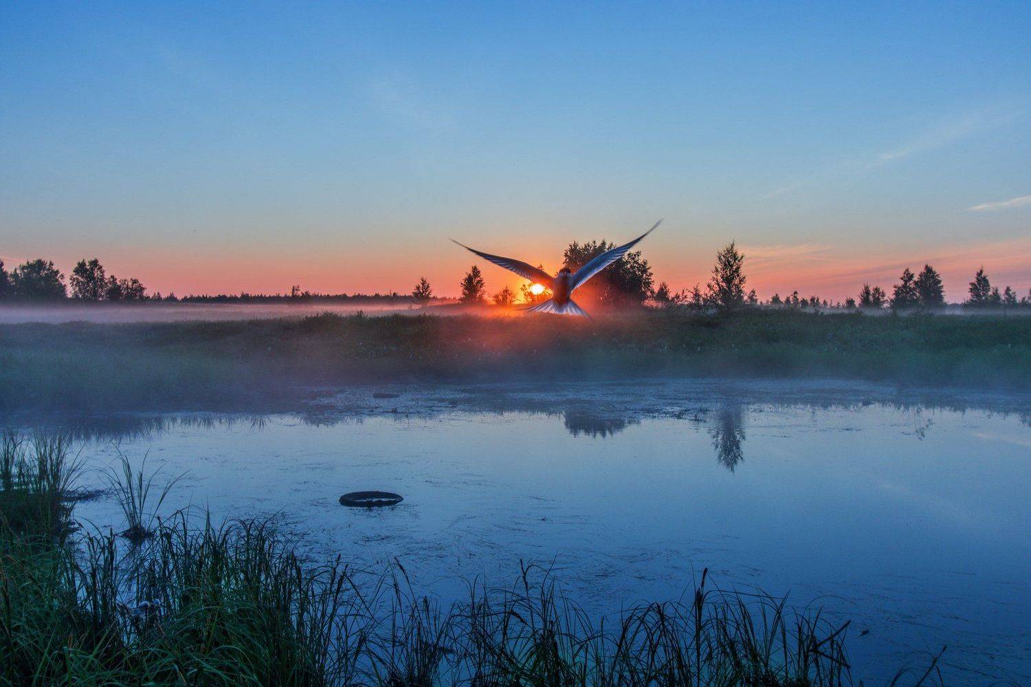 ямал ,природа ,рассвет, Настя Братка