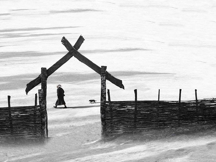 , T. Bondarenko