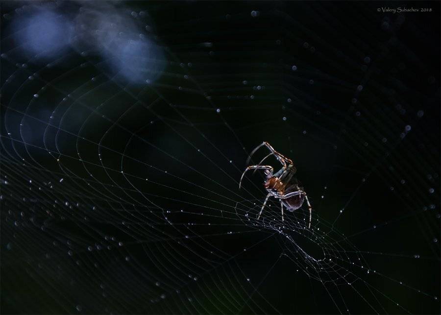 , Валерий Субачев