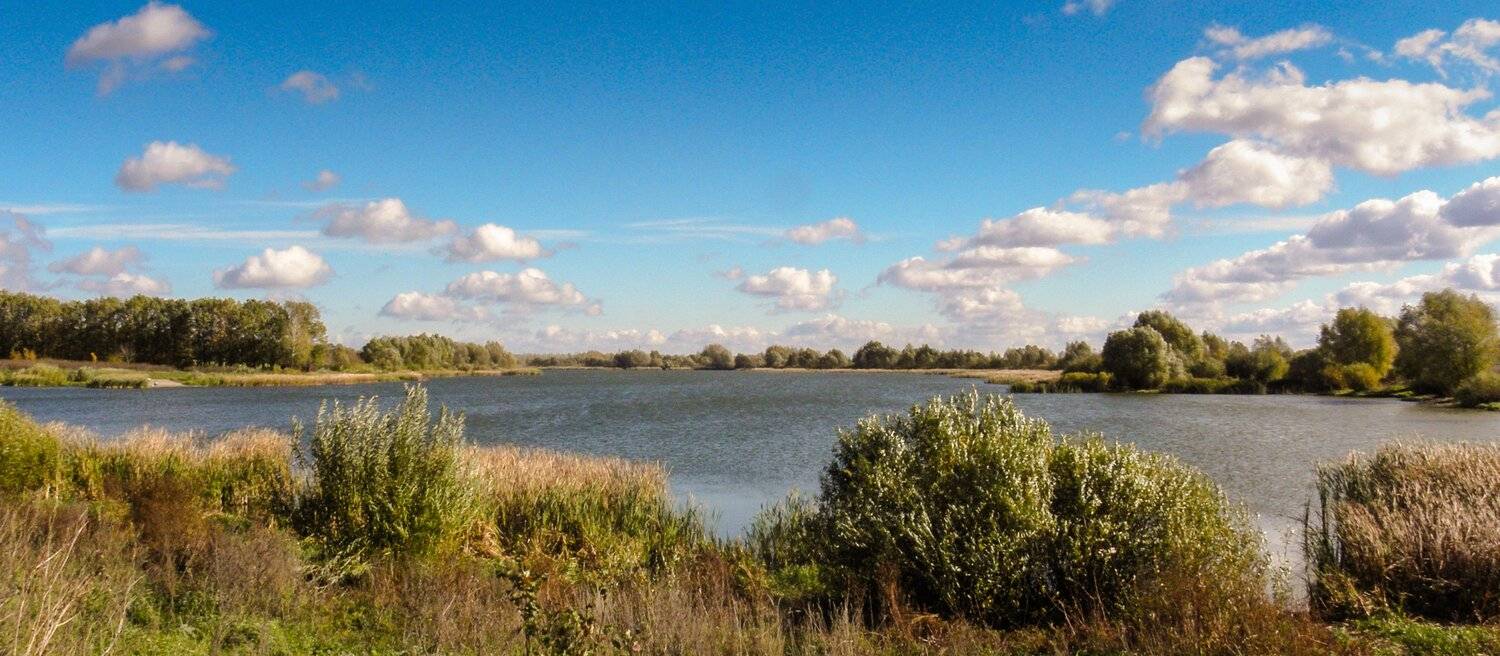 , Руслан Востриков