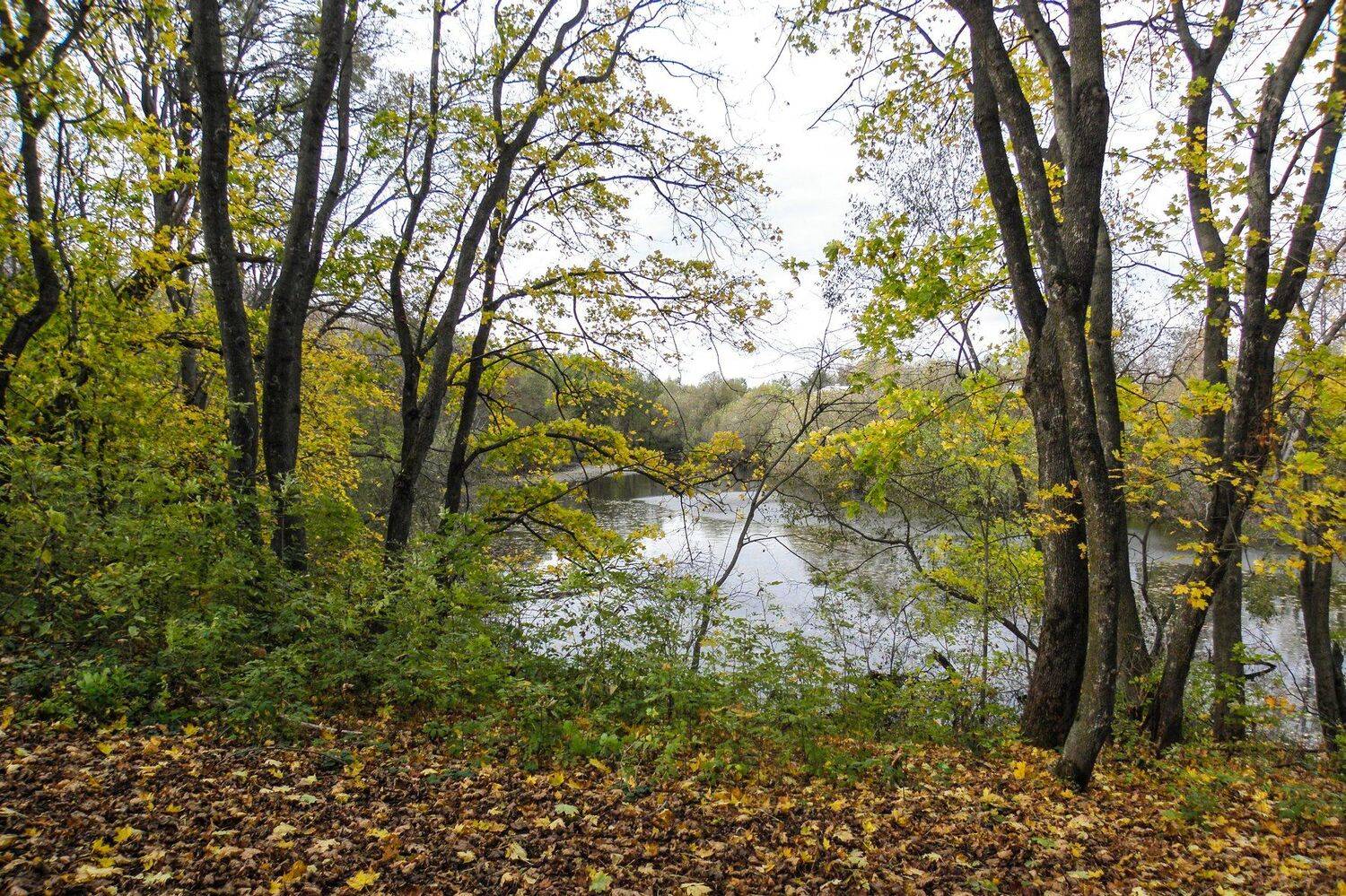 , Руслан Востриков