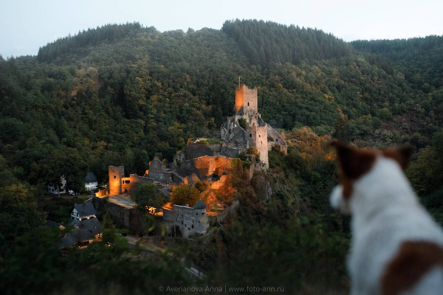 собака, замок, город, Анна Аверьянова