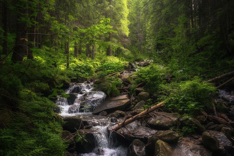 Карпаты фото превью