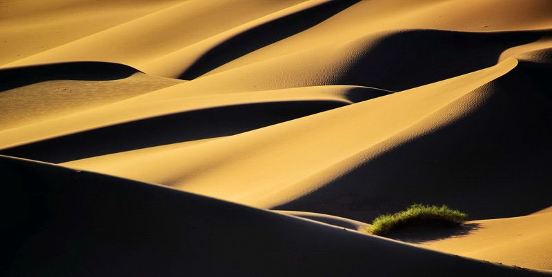 Morning фото превью