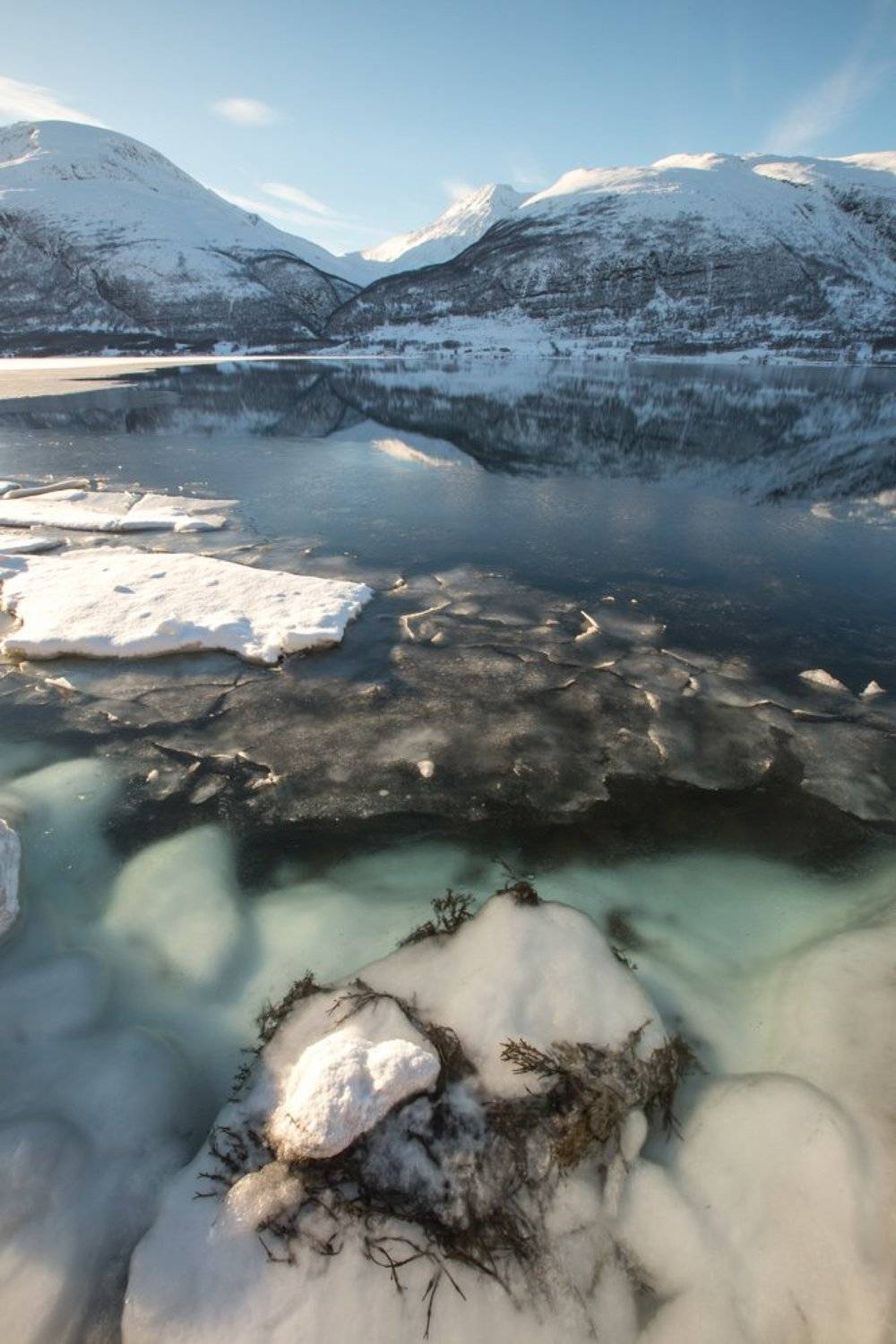 , Ирина Назарова