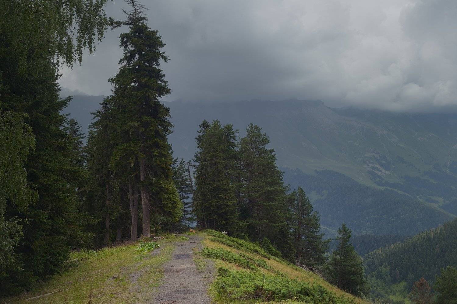 горы лето архыз, Александр Жарников