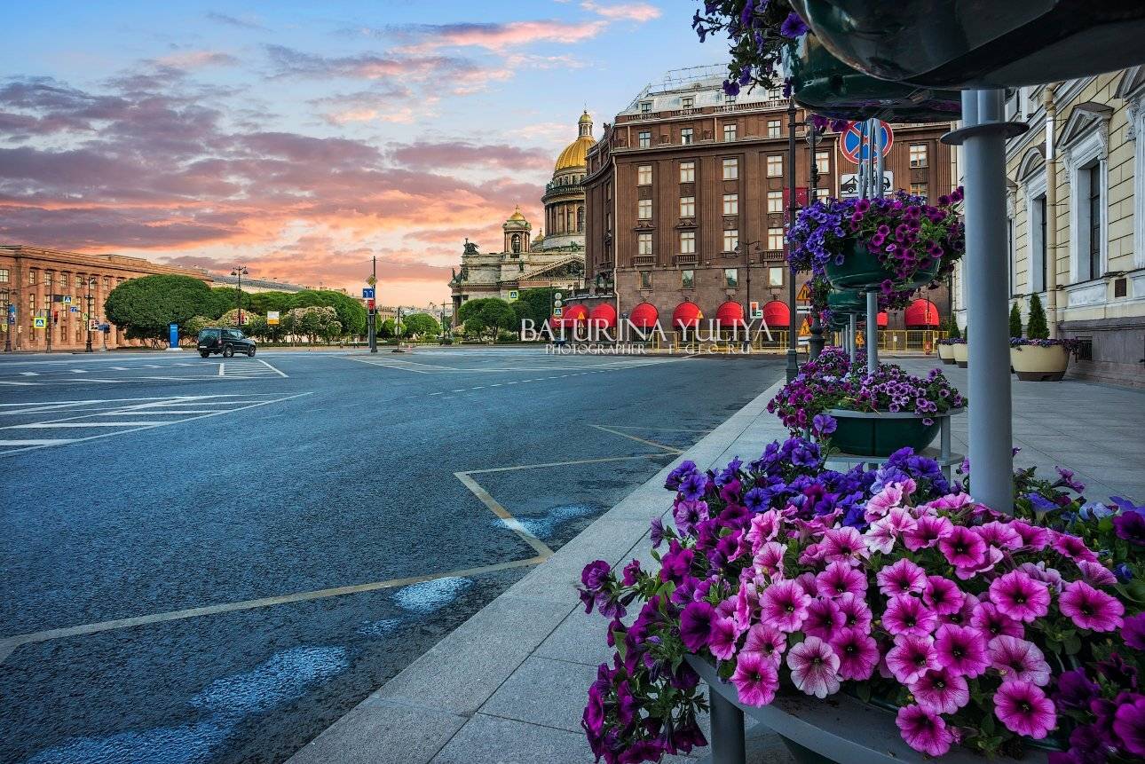 санкт-петербург, цветы, исаакиевский собор, исаакий, площадь, Юлия Батурина
