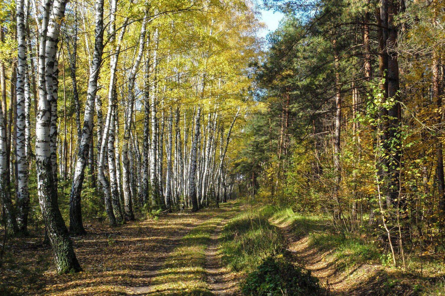 , Руслан Востриков