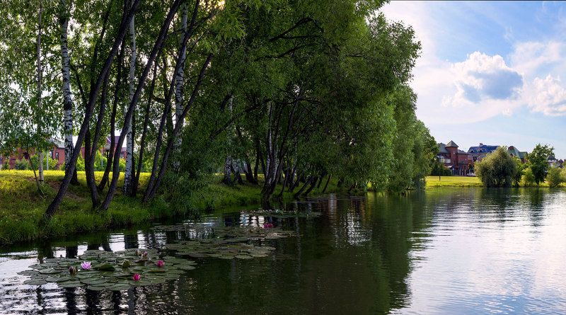 старая москва потапово пруды лето На самом юге \