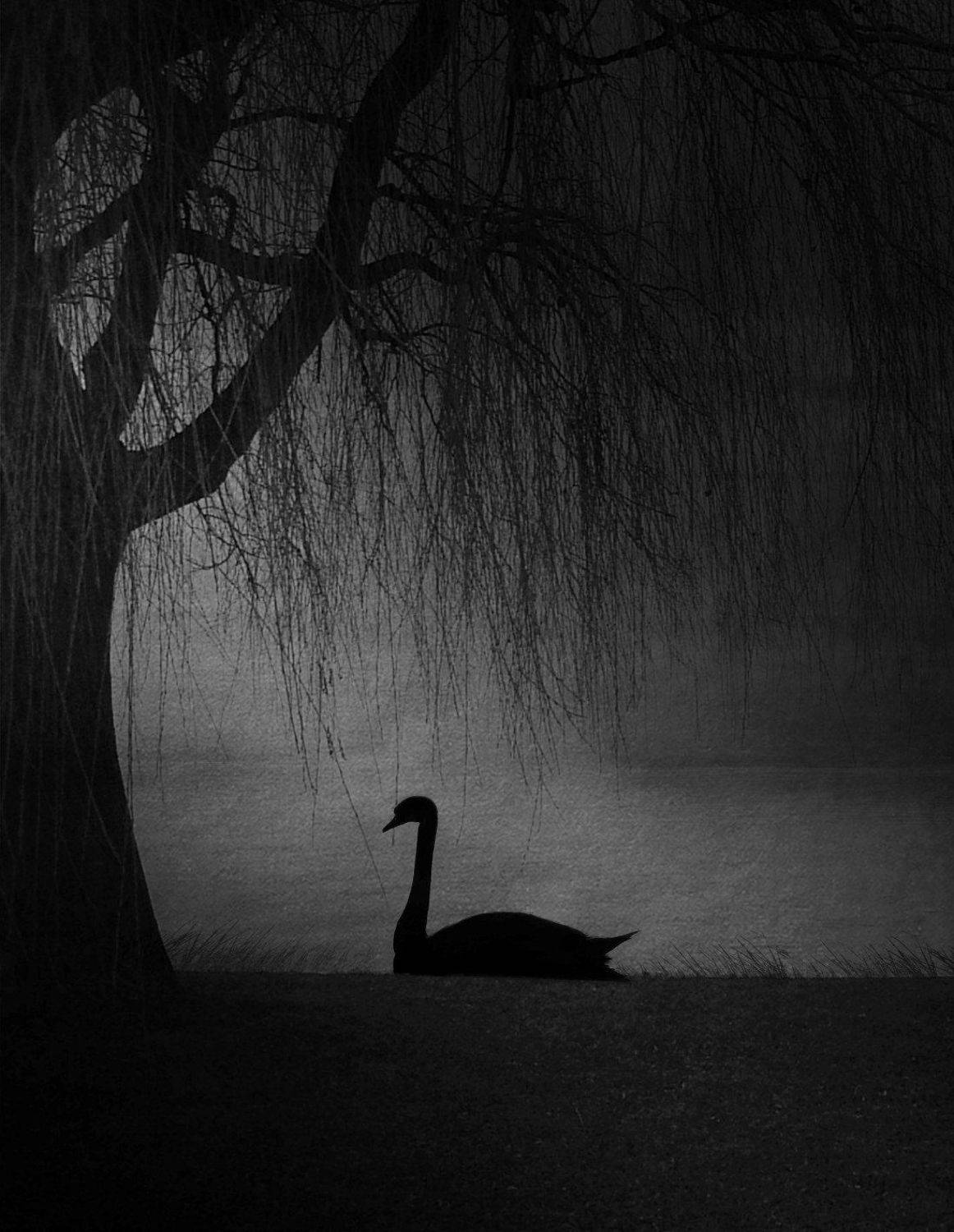 #35photo #surrealart#photoshop#ps_fantasy#art_minimal #bnw_dream #photography#minimalism#conceptual#fineart #instagram#ps_dreams#bnwminimalismmag#art_digital #ir_photographer#ir_aks#minimal#canon#blackandwhite#bnw#surreal#hadimalijani#art#fantastic_earth#, Hadi Malijani