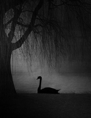 Alone