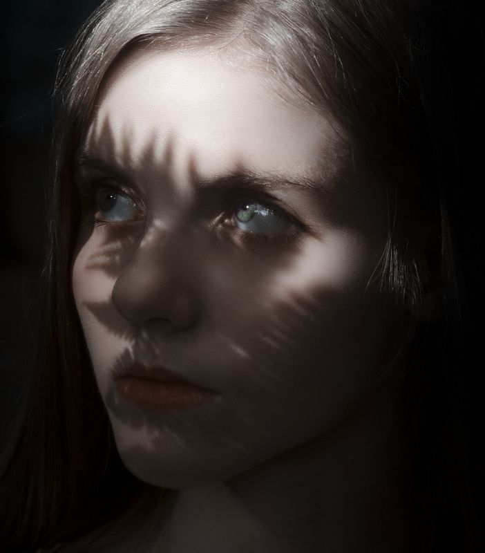 moon,portrait,girl,beautiful,fern,green,fashion,night,close-up,shadows,creative,shine,девушка,луна,ночь,папоротник,портрет,тени,светотень. Fern and moon фото превью