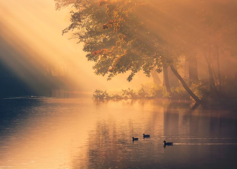 Autumn glare... фото превью