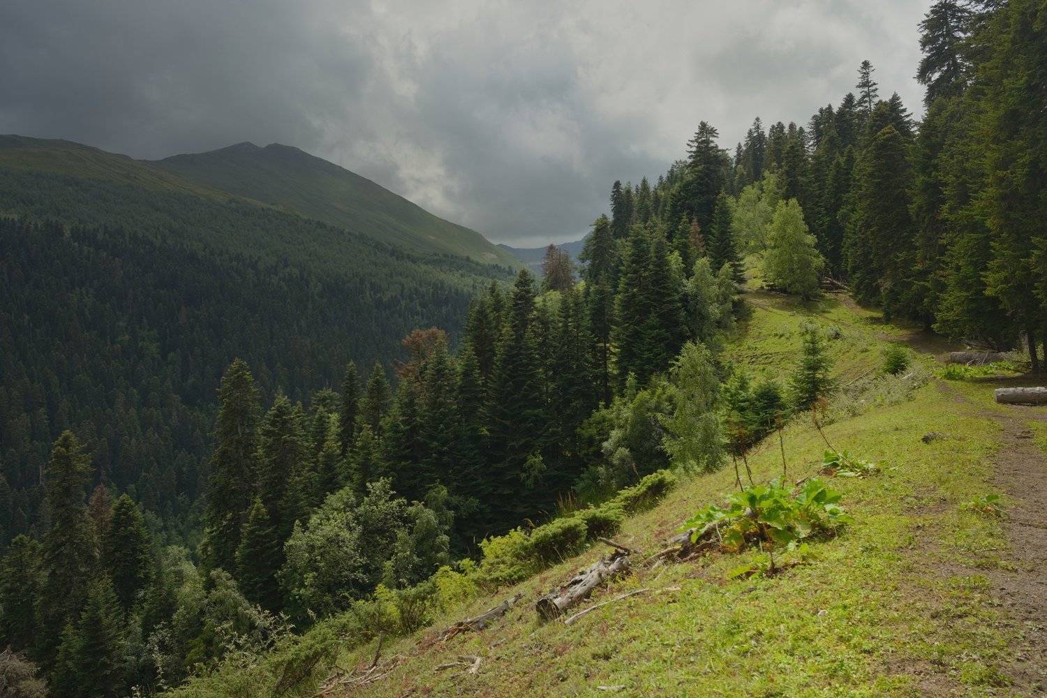 горы лето архыз дорога, Александр Жарников