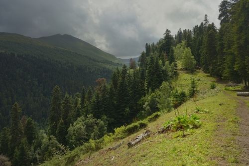Дорога на перевал