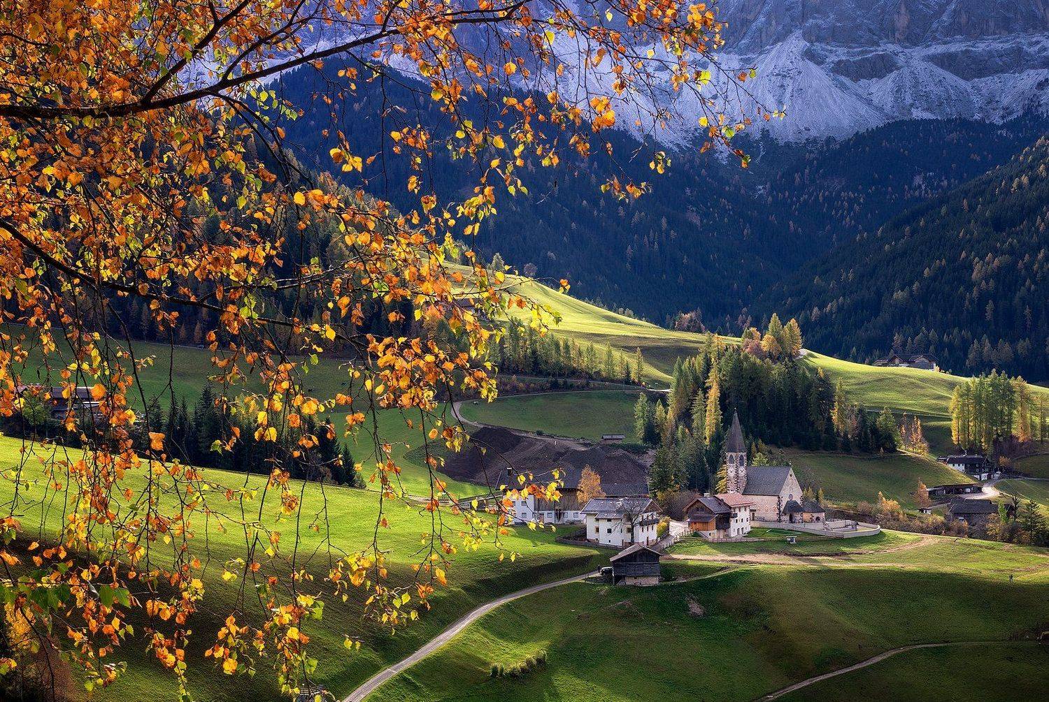 , Сергей Давыдов