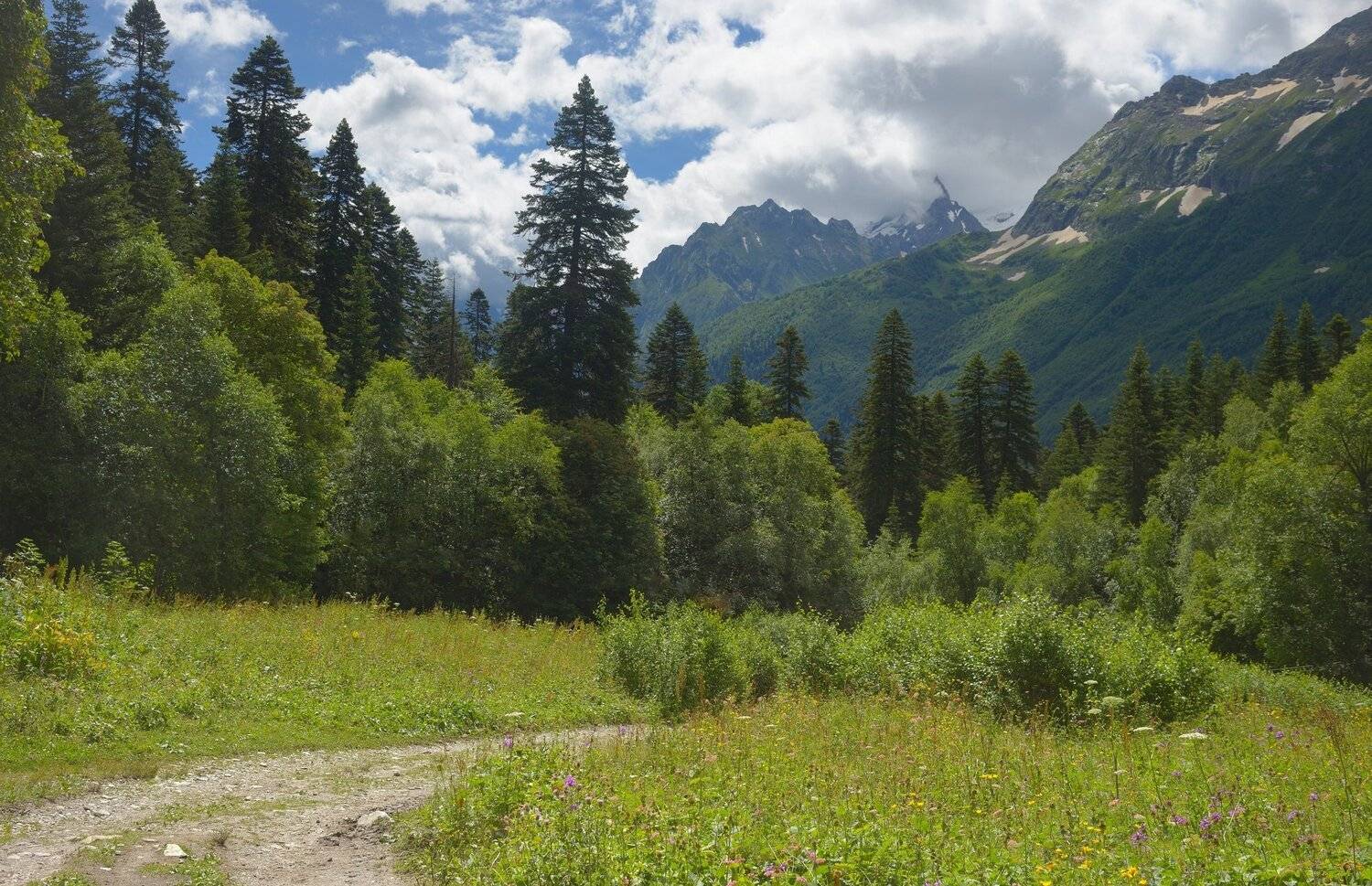 горы лето алибет, Александр Жарников