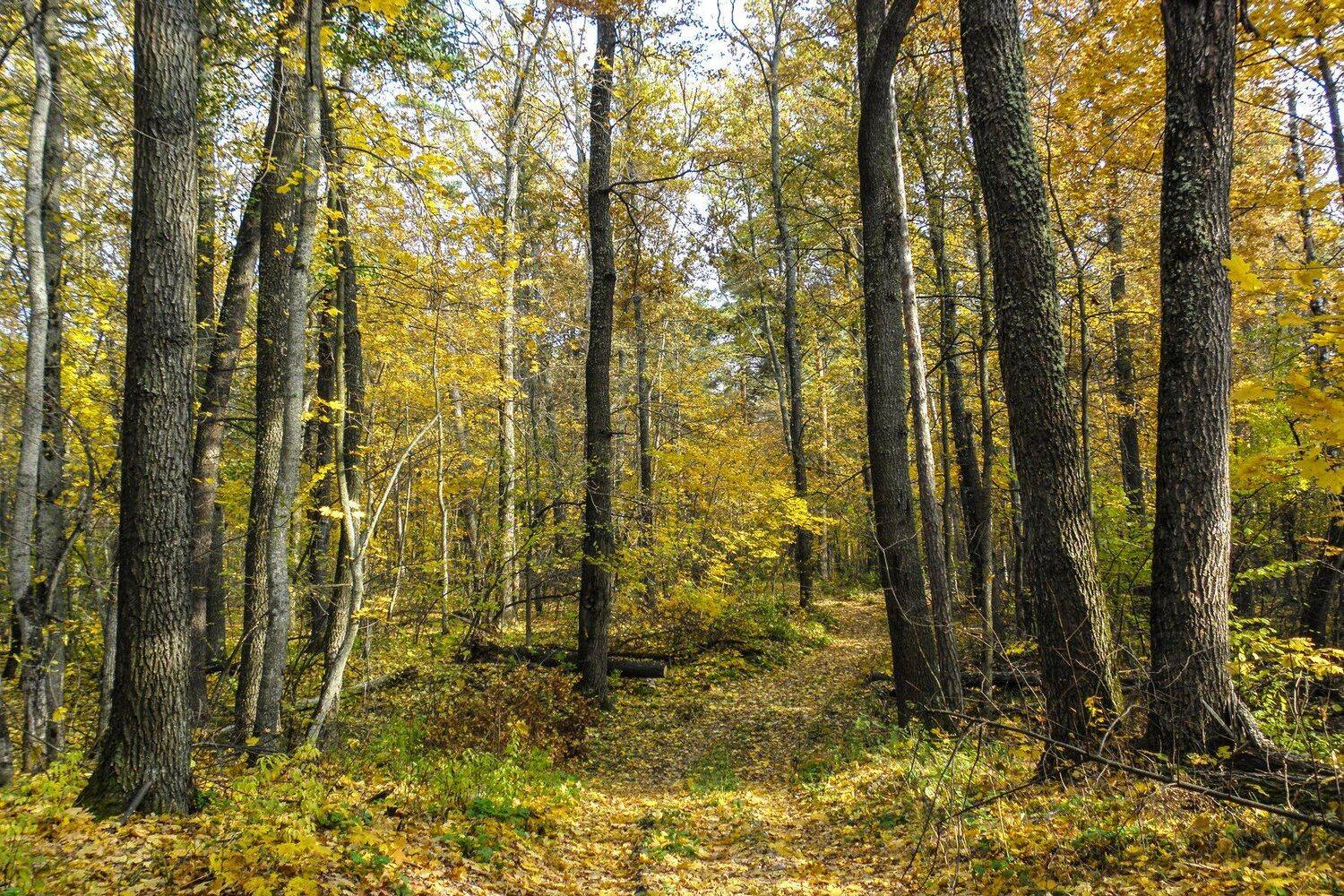 , Руслан Востриков