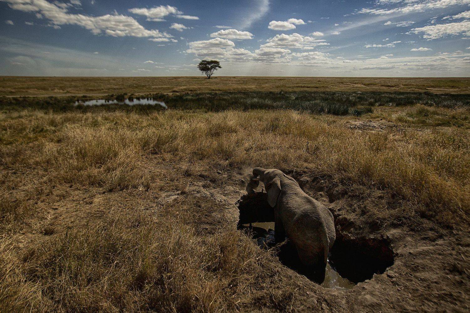 , Рашид Усманов