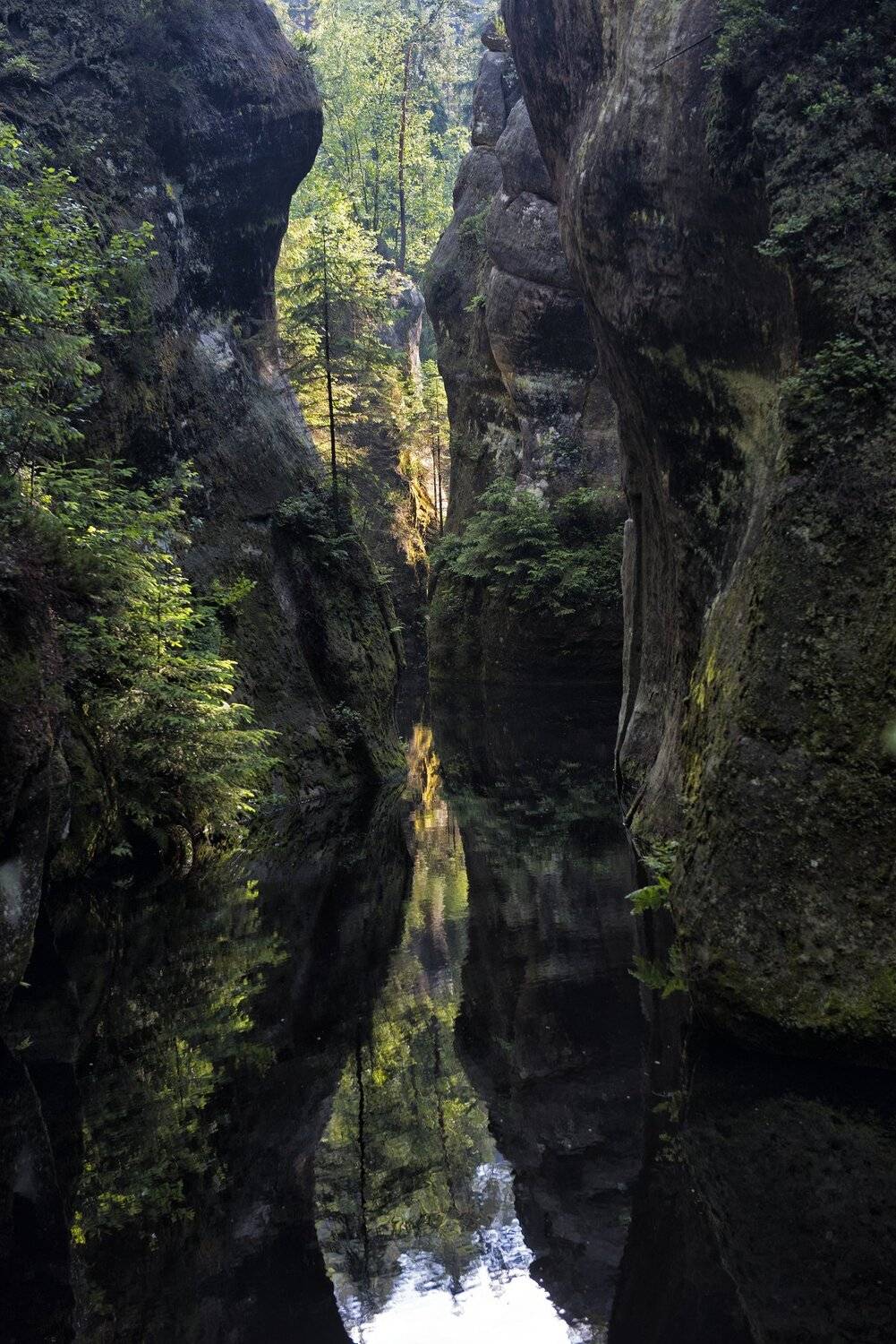 , Edgars Gerskovics