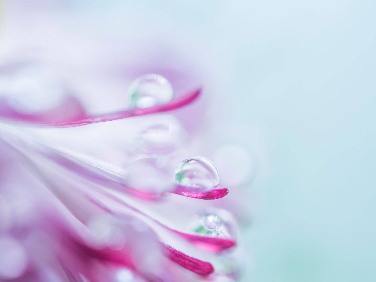 , Евгения Муравская