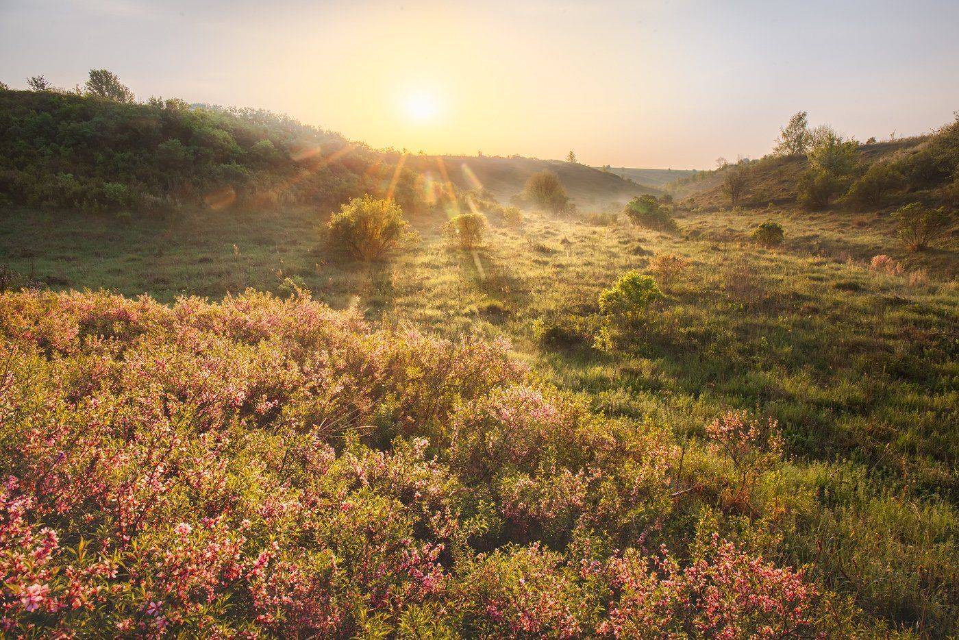 казацкая степь, медвенский район, курская область, центрально-черноземный биосферный заповедник, Арсений Кашкаров