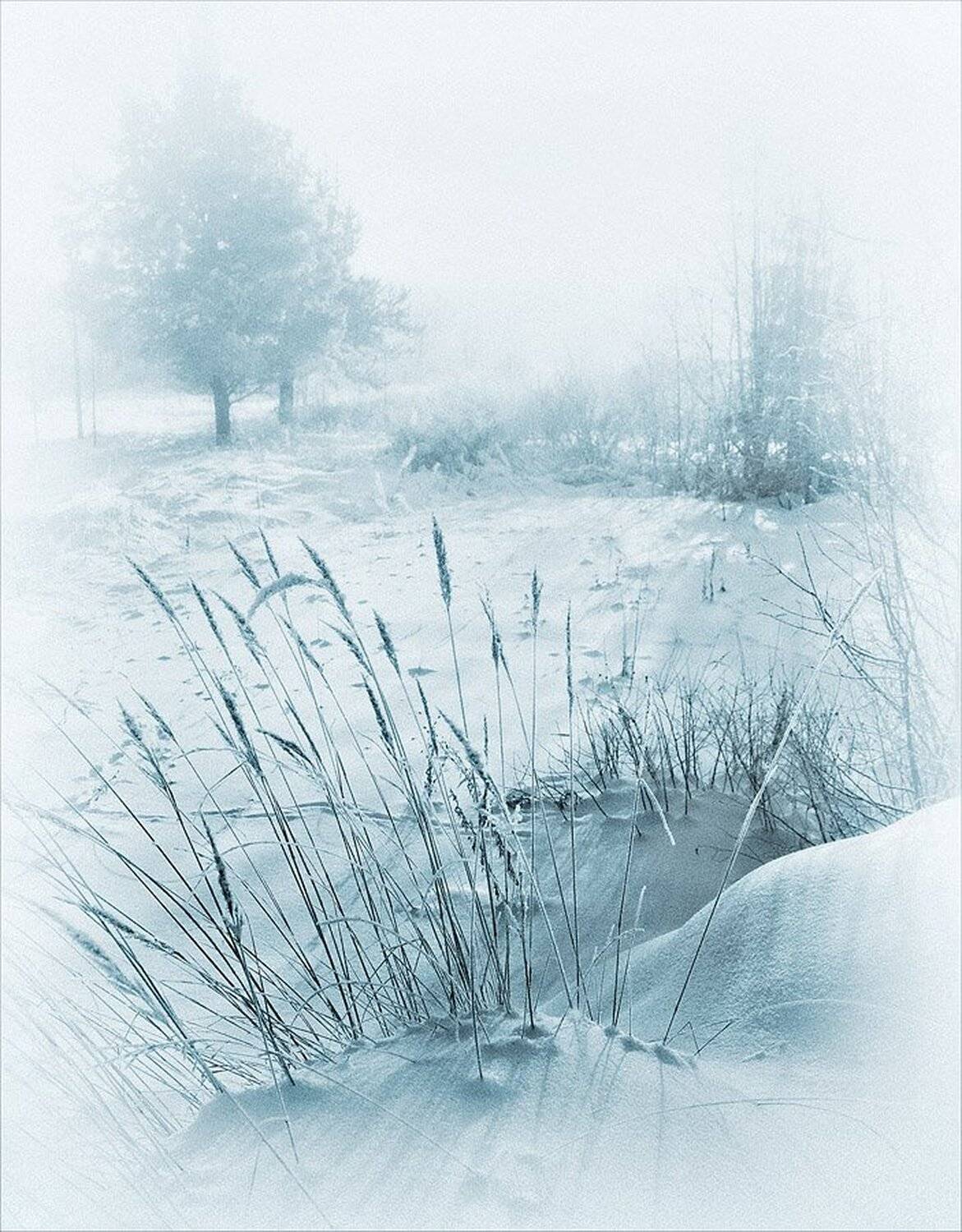 , Пономарева Ирина