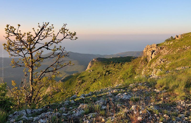 утро, крым, горы  фото превью