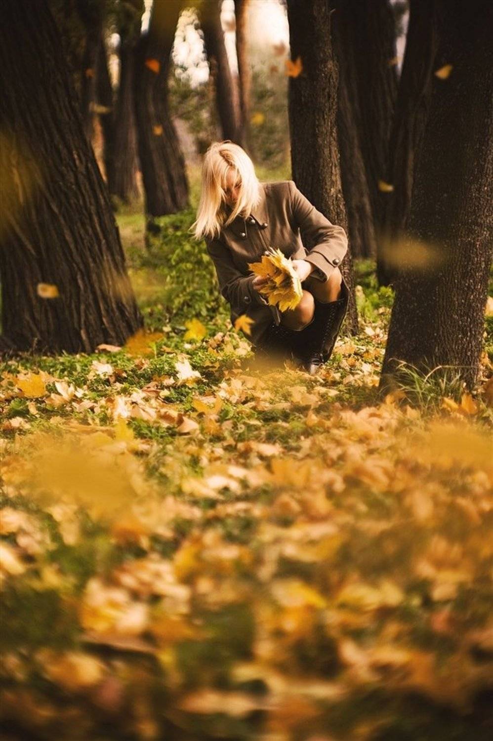 листопад, ноябрь, осень, юпитер 9, Alexander Ostapenko