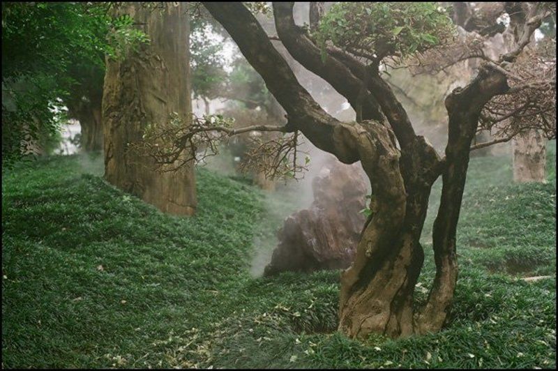 hong kong, china, китай  фото превью