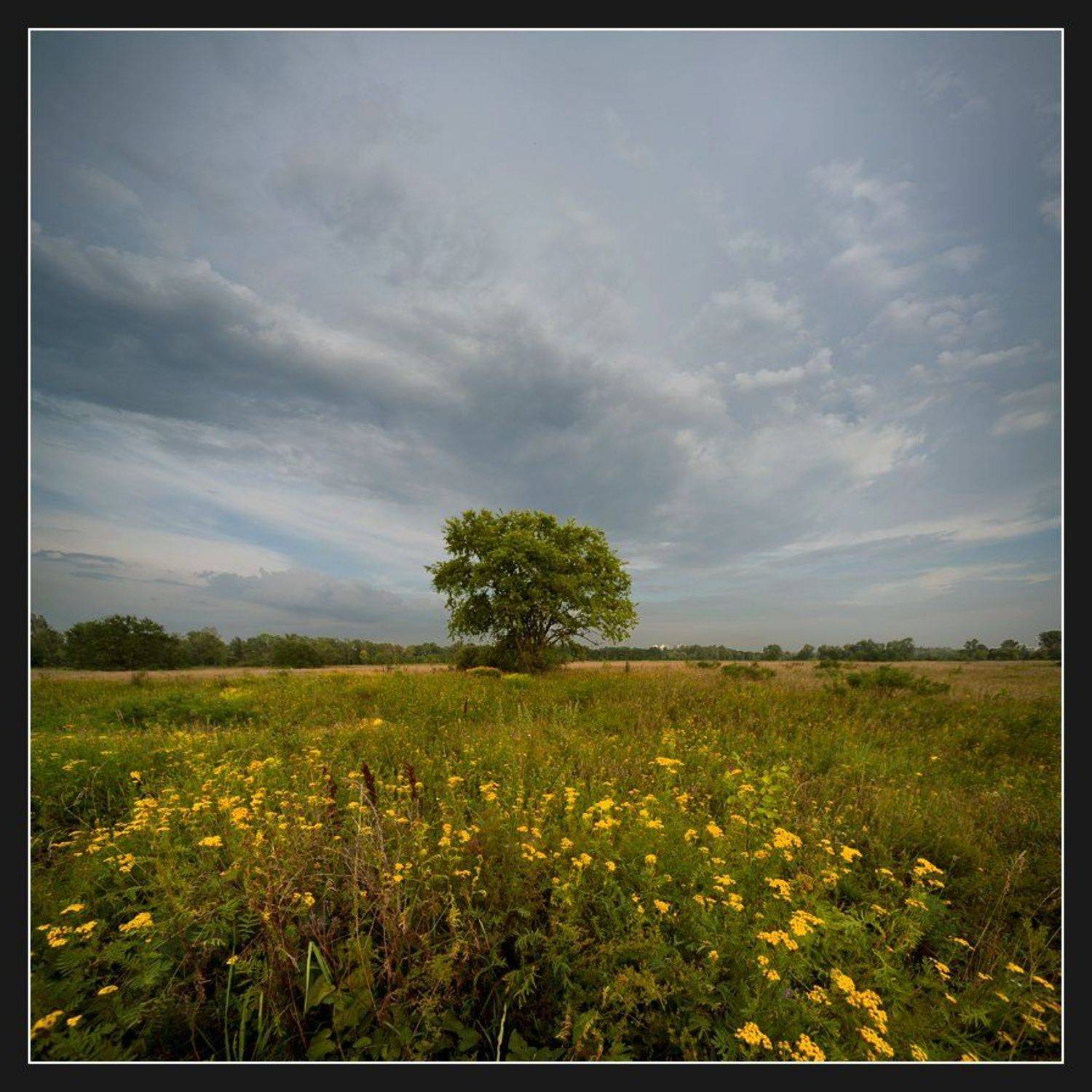 , Алексей Соловей